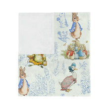 Load image into Gallery viewer, Peter Rabbit Velveteen Minky Blanket
